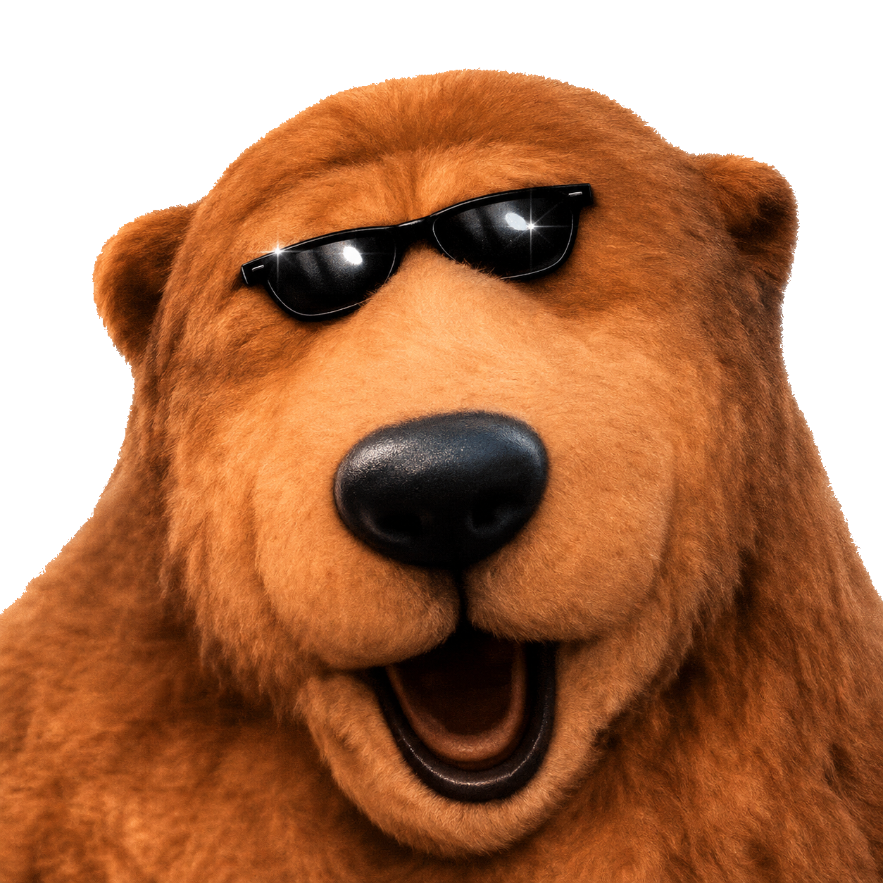 Foto van een beer